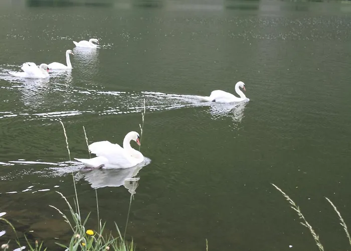 Apartment Design Am Wald 2 Ab April 2026 Mit Noch Größerer Und Neuer Terrasse Boppard