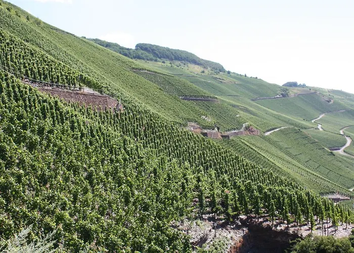 Apartment Design Am Wald 2 Ab April 2026 Mit Noch Größerer Und Neuer Terrasse Boppard
