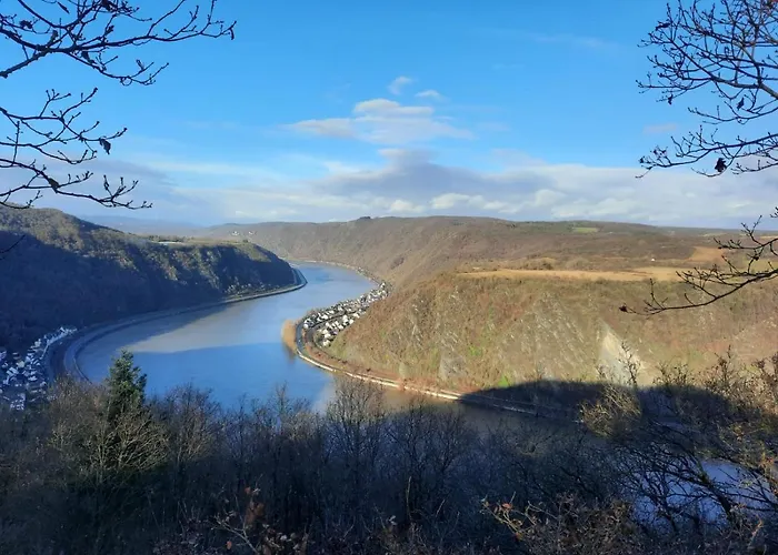 Apartment Design Am Wald 2 Ab April 2026 Mit Noch Größerer Und Neuer Terrasse