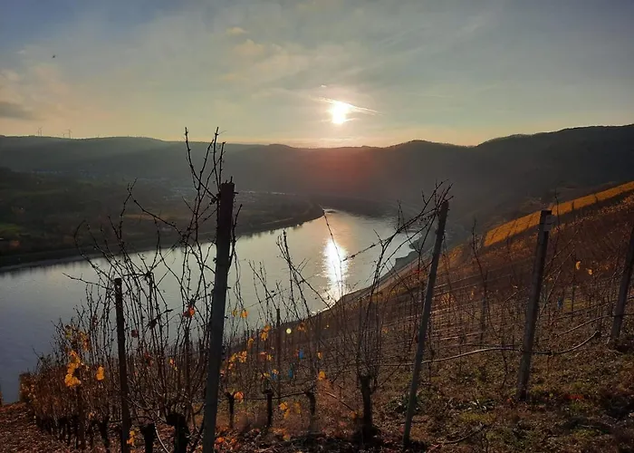 Design Am Wald 2 Ab April 2026 Mit Noch Größerer Und Neuer Terrasse *